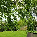 Sauerland-tinyworld - Ihr Tiny Am Rande Des Sauerlandes, Naehe *
