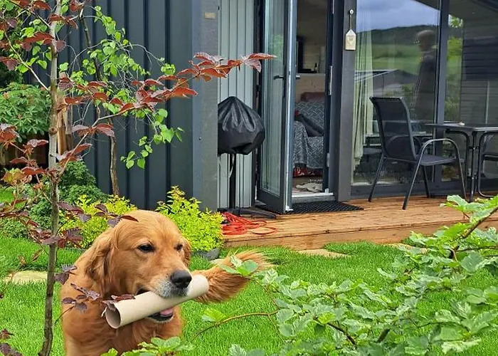 Sauerland-tinyworld - Ihr Tiny Am Rande Des Sauerlandes, Naehe منتزه العطل *